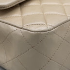Chanel Classic / Timeless Iridescent Bag
