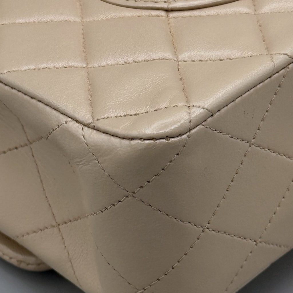 Chanel Classic / Timeless Iridescent Bag