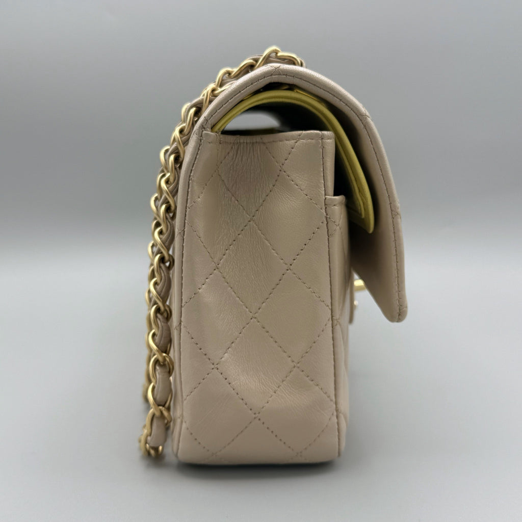 Chanel Classic / Timeless Iridescent Bag