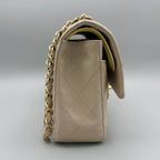 Chanel Classic / Timeless Iridescent Bag