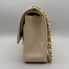 Chanel Classic / Timeless Iridescent Bag
