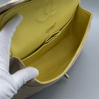 Chanel Classic / Timeless Iridescent Bag