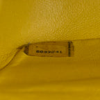 Chanel Classic / Timeless Iridescent Bag